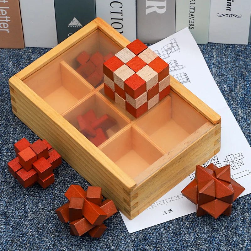 Brain Teaser Puzzle Box Set - Sensory Haven