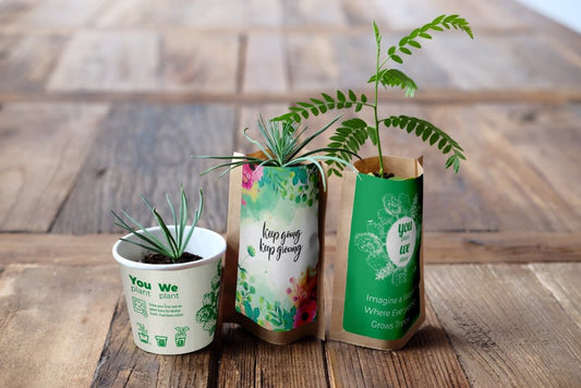 You Plant We Plant Tree Kit- Plants 30 Trees