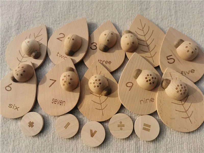 Montessori Wooden Sensory Toy Set - Sensory Haven